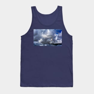 Seagull bird flying over a cloudy blue sky Tank Top